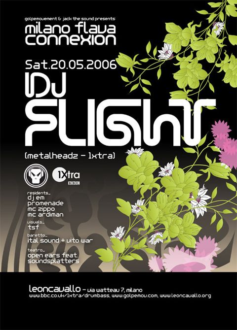 Dj flight