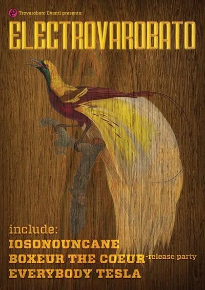Electrovarobato da verificare