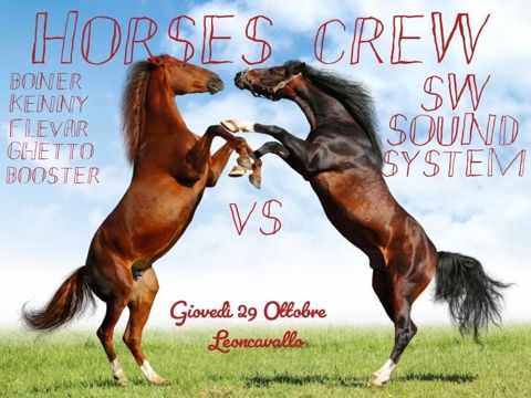 Horses crew boner