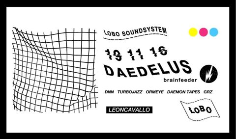 Lobo daedelus