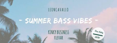 Summer bass vibes w kinky business flevar