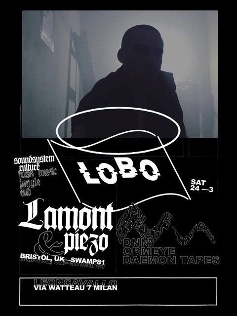 Lobo w lamont swamp81